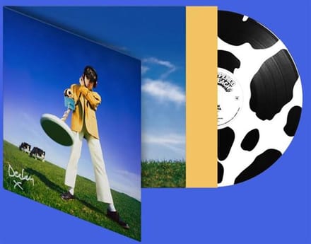 Declan McKenna - What Happened to the Beach? (Black & White Picture Disc LP)