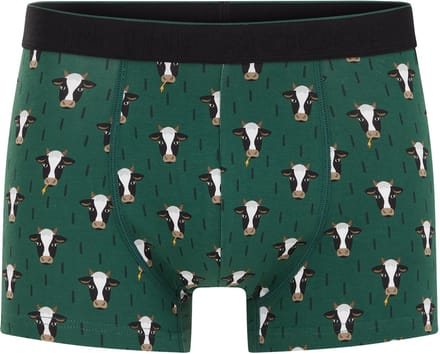 WE Fashion Heren boxershort met print