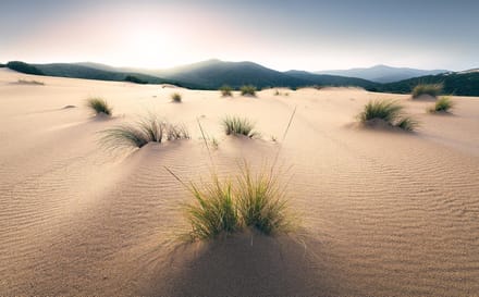 Vivid Fotobehang Dunes - Meerkleurig - 2,80m X 450cm