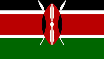 Vlag Kenia 50x75cm