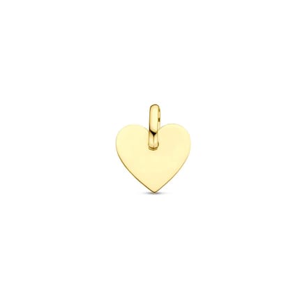9K Geelgouden 9k graveerhanger hart 13 mm - 8000173