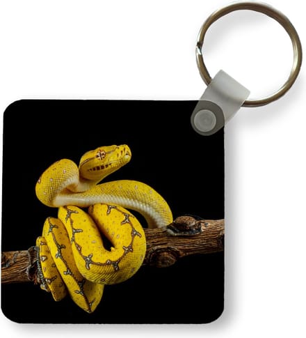 Sleutelhanger - Uitdeelcadeautjes - Slang - Tak - Geel - Plastic