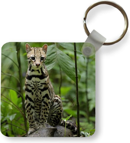 Sleutelhanger - Uitdeelcadeautjes - Ocelot tussen de bladeren van de jungle in Costa Rica - Plastic