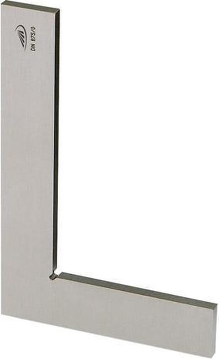 Pl.winkelhaak D875/0 A 100x 70 mm roestvrij HP