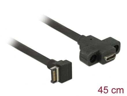 Delock Cable USB 3.1 Gen 2 key A 20 pin male > USB 3.1 Gen 2 USB Type-C™ female panel-mount 45 cm