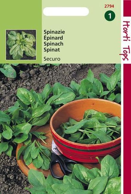 Hortitops Zaden - Spinazie Securo Wolfresistent A+B 15 gram