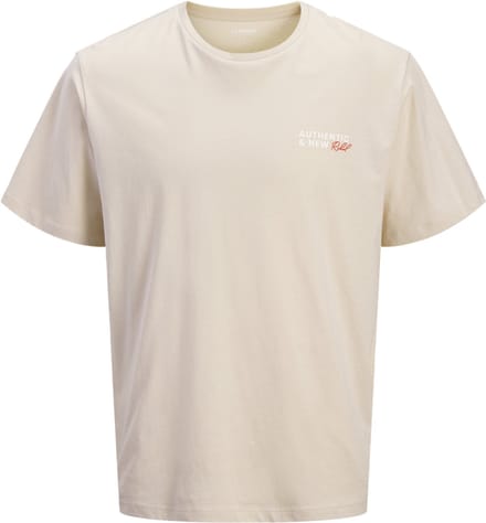 JJREBEL - JREBHAYDEN SS TEE SN Heren T- shirt