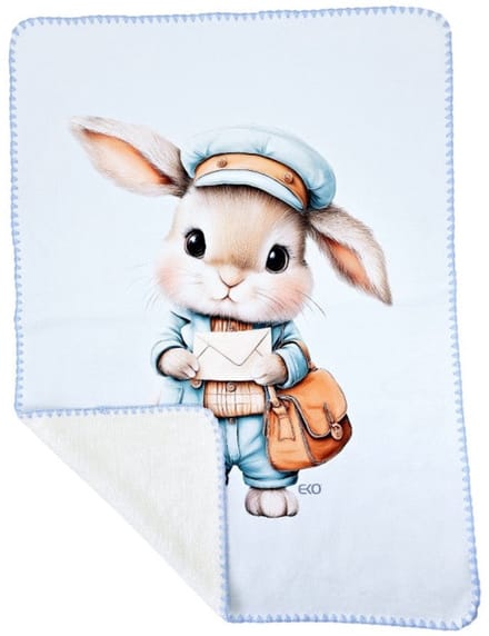 Panel Blanket POSTMAN