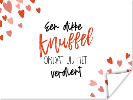 Poster Beterschap - Quote - Knuffel - 40x30 cm