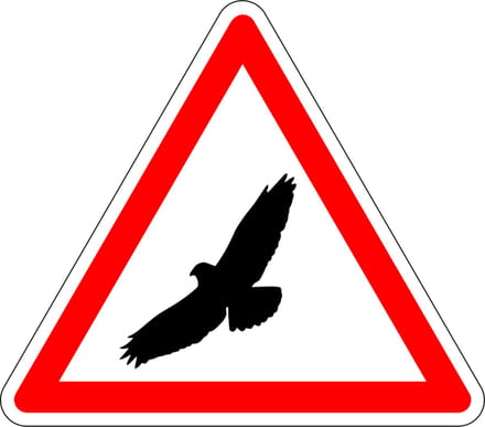 Pas op voor buizerd sticker 100 mm