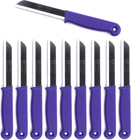 Solingen Schilmesje Duits - Paars - RVS - 18.5 cm. - 500 stuks