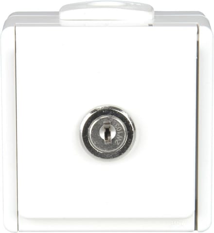 Afsluitbare Stopcontact met Klapdeksel - 1-voudige Opbouw, Poolwit, Spatwaterdicht, 250V, 16A