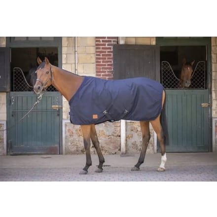 Paardenhemd van katoenen mesh Paddock Sports