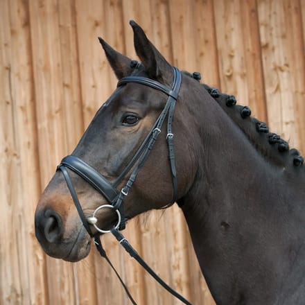 Gecombineerd hoofdstel met neusriem Kieffer Ergonomic Line III
