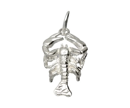 Zilveren Sterrenbeeld Kreeft ketting hanger - groot