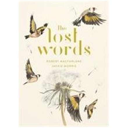 The Lost Words door Jackie Morris Hardback Boek 9780241253588