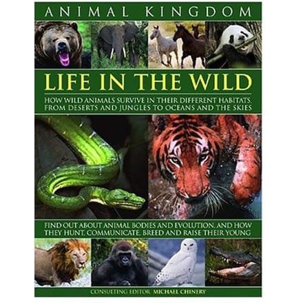 Animal Kingdom