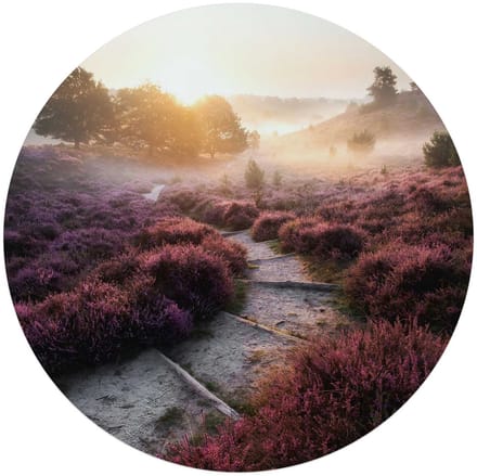 Glasschilderij Wandelpad langs de heide - Ø 70 - Glas - REINDERS
