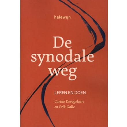 De Synodale Weg
