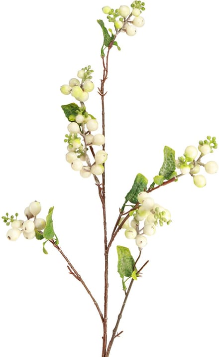 Kunst erwtenstruik sneeuwbes L74cm
