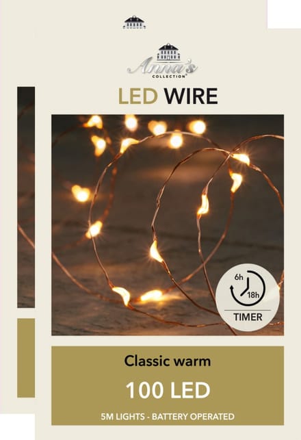 Anna Collection Draadverlichting lichtsnoeren - 2x - 100 leds - koper -warm wit licht -500 cm