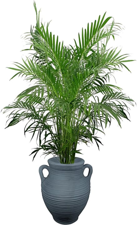 35L grijze plantenbak - Prestige Athene