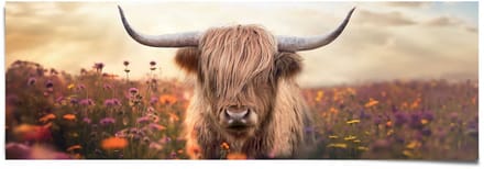 Poster Spring Highlander - 53 x 158 - Papier - REINDERS