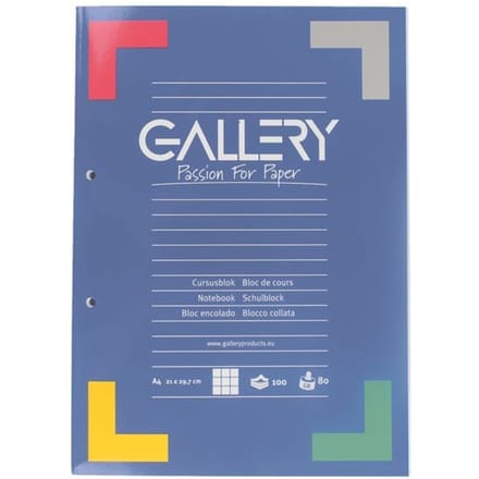Gallery cursusblok, ft A4, 80 g/m², 2-gaatsperforatie, geruit 5 mm, 100 vel