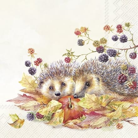 IHR - Lunch servetten - Hedgehog Friends Cream