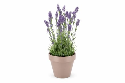 SILK LAVENDER PURPLE POT TERRA L 32X32X53CM