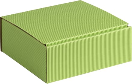 Geschenkdoos ribbelkarton 15x14x5,5cm LICHTGROEN (100 stuks)