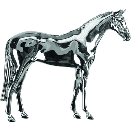 Strikspeld voor het paard model staand paard Umbria Equitazione