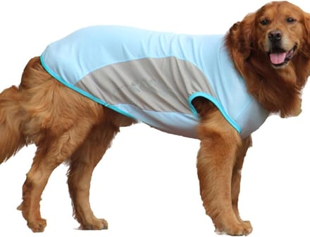 Verkoelend Hondenvest - Honden Koelvest - Hitte Verminderen - Direct Koel Effect - XXL - Blauw