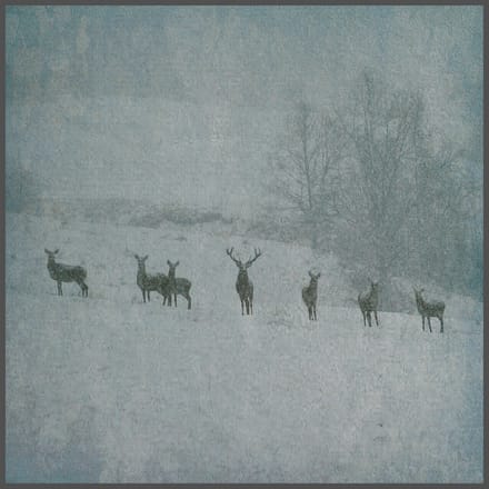 Rauhnacht - Winterstille (LP)