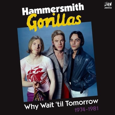 Hammersmith Gorillas - Why Wait Until Tomorrow 1974-1981 (2 LP)