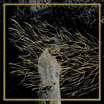 Forest Swords - Engravings: 2025 Edition (CD)