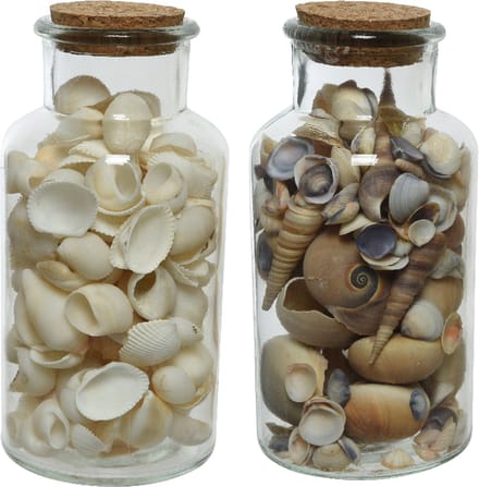 Deco schelpen in glazen pot - 2x stuks - D8 x H16 cm - bruin/wit