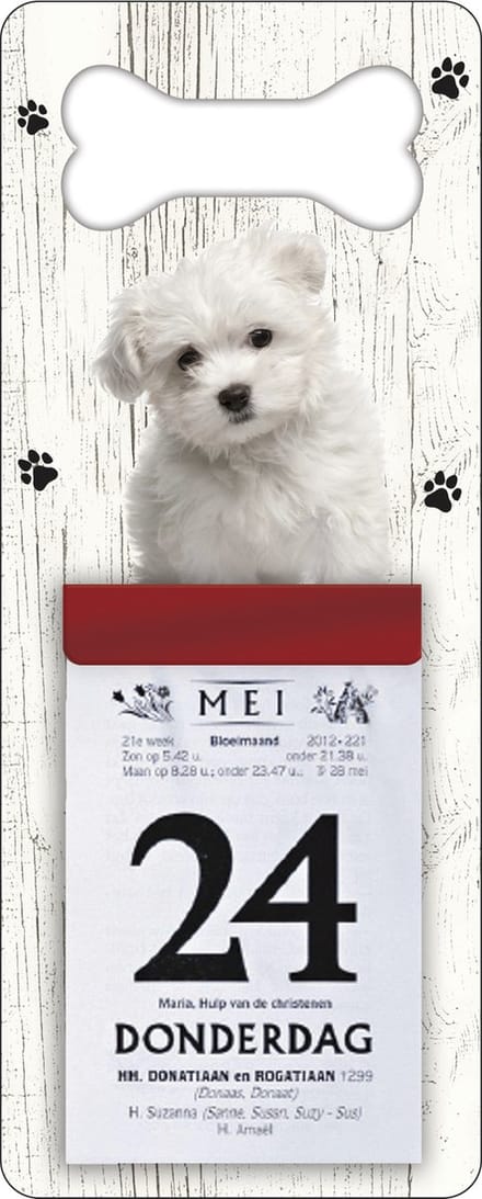 Scheurkalender 2027 Hond: Malteser