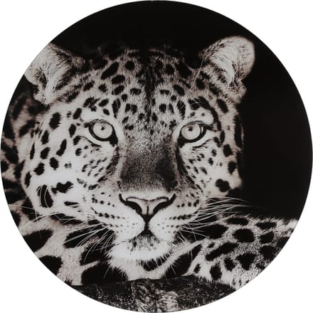 Countryfield Schilderij Wild Life L Zwart/Wit