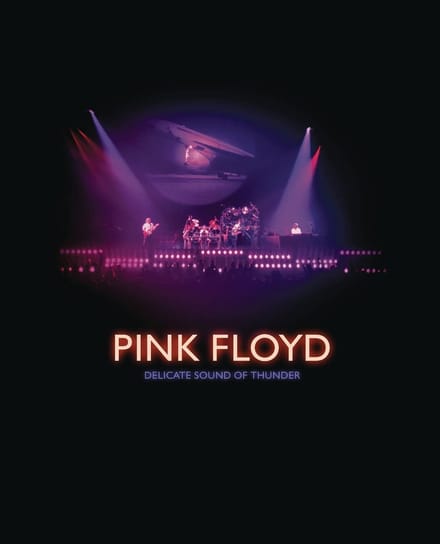 Delicate Sound Of Thunder