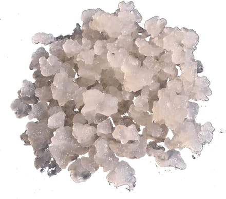 keFIRST® Verse waterkefirkorrels 20g - Eindeloos zelf waterkefir maken