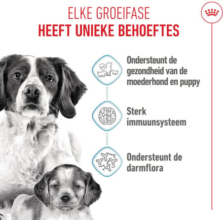Royal Canin - Hondenvoer Droog Mother & Baby Medium Starter - 1 kg