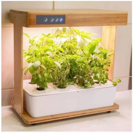 Moestuin Bioponis