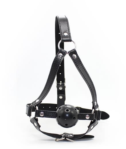 Smart Moves - Ball Gag met Hoofdharnas