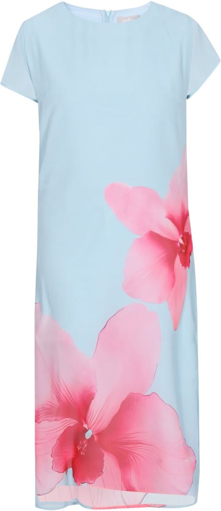 usha Dress