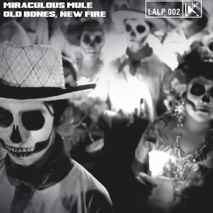 Miraculous Mule - Old Bones, New Fire (LP)