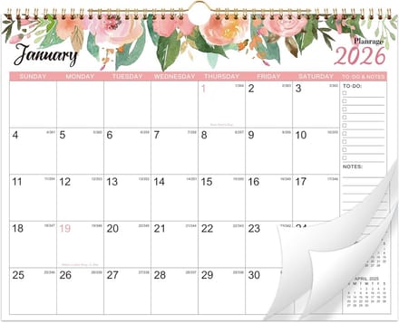 Wandkalender 18 Maanden Januari 2023 Tot Juni 2024