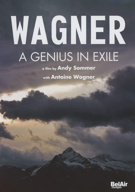 Andy Sommer - A Genius In Exile (DVD)