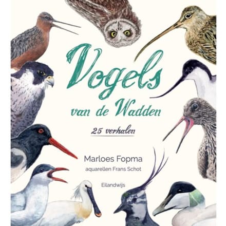 Vogels Van De Wadden - Marloes Fopma