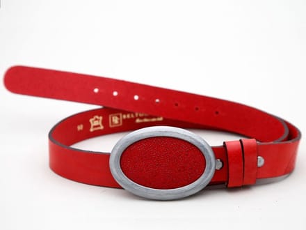 BeltonClip Roxy, eindelijk geen gaatjes meer in je kleding!